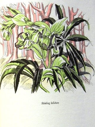 Item #014995 THE NATURAL HISTORY OF SELBORNE. Gilbert WHITE