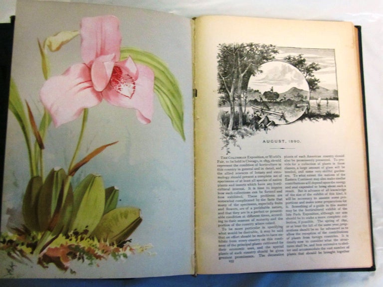 Item #018489 VICK'S MONTHLY MAGAZINE, Volume XIII, 1890, and [Volume XIV, 1891]. BOTANICAL CHROMOLITHOGRAPHS.