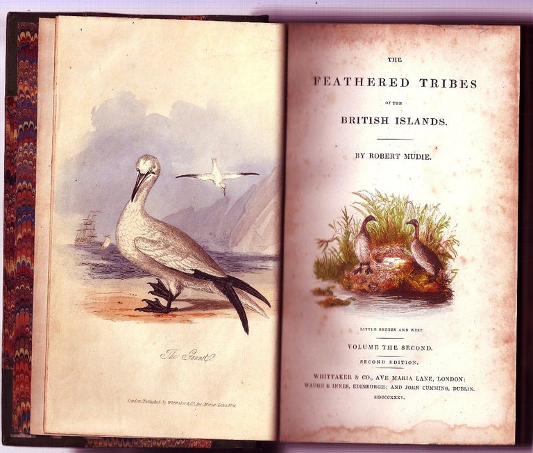 Item #019744 THE FEATHERED TRIBES OF THE BRITISH ISLANDS. Robert MUDIE.