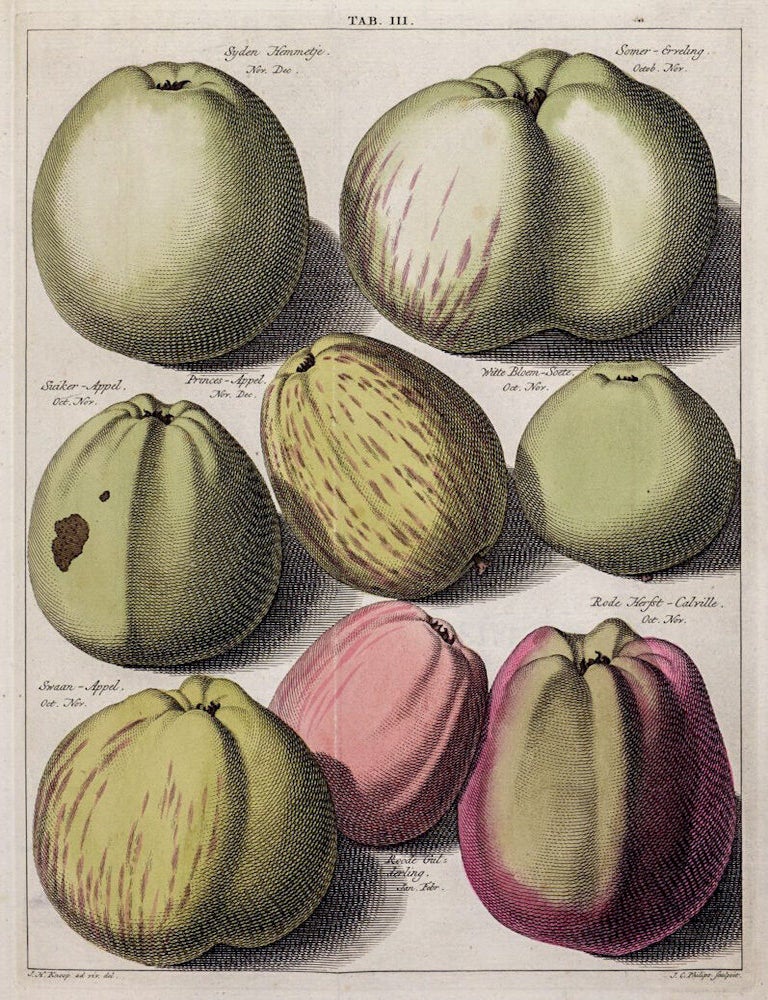 Item #021658 POMOLOGIA, DAT IS BESCHRYVINGEN EN AFBEELDINGEN VAN DE BESTE ZOORTEN VAN APPELS EN PEEREN, Welke In Neder- en Hoog-Duitschland, Frankryk, Engleland en Elders Geagt Zyn, en Tot Dien Einde Gecultiveert Worden [with] FRUCTOLOGIA, OF BESCHRYVING DER VRUGTBOMEN EN VRUGTEN.... [with] DENDROLOGIA, OF BESCHRYVING DER PLANTAGIE-GEWASSEN. Johann Hermann KNOOP.