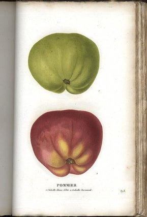Item #021671 LA BOTANIQUE, ou Histoire et Figure en Couleur des Fleurs et des Fruits de France ou...