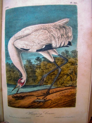 Item #022484 THE BIRDS OF AMERICA, FROM DRAWINGS MADE IN THE UNITED STATES AND THEIR TERRITORIES....